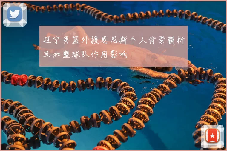 辽宁男篮外援恩尼斯个人背景解析及加盟球队作用影响